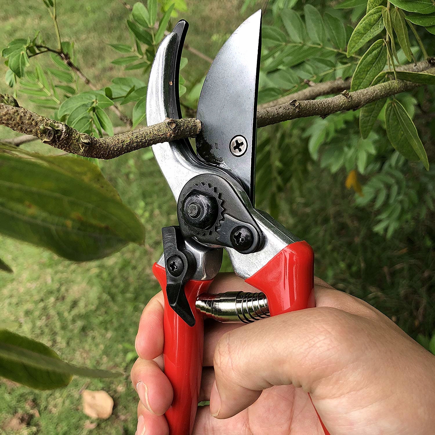 Инструменты для обрезки деревьев: как выбрать