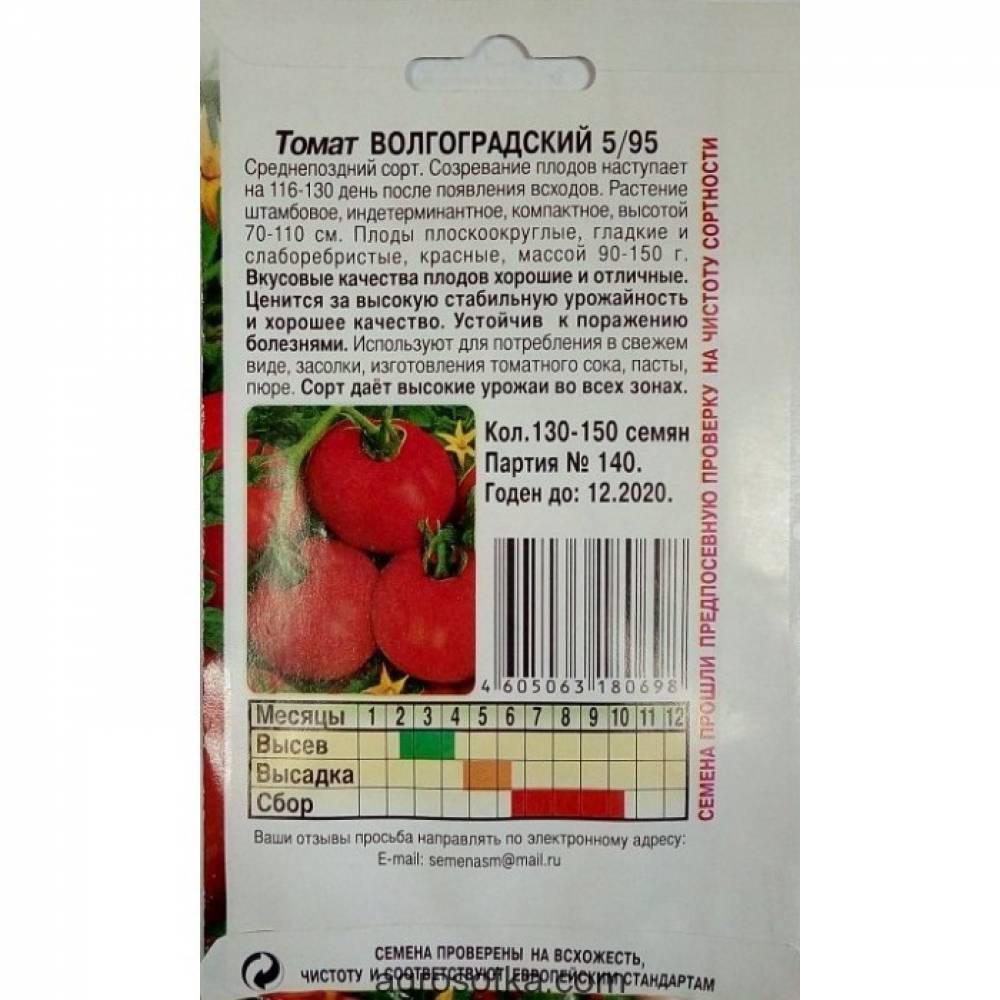 Волгоградские помидоры описание выращивание фото