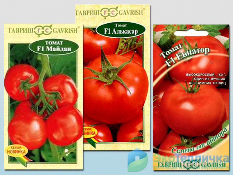 Описание лучших сортов томатов для краснодарского края открытого грунта и теплиц