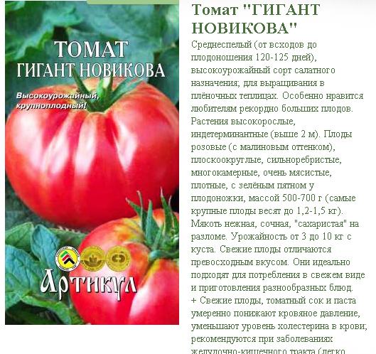 Томат гигант новикова - описание сорта, отзывы, урожайность - журнал "совхозик"