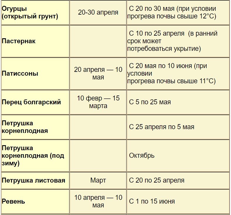 Когда можно сажать огурцы в грунт семенами