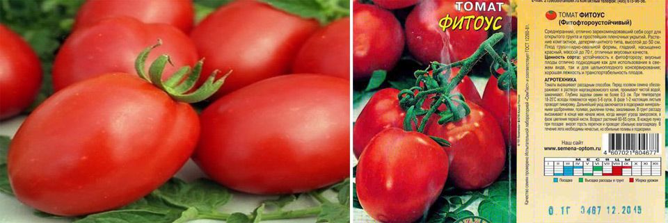 Томат «титан розовый»: описание сорта, фото и рекомендации по выращиванию помидоры русский фермер