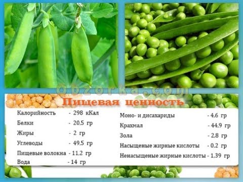 Консервированный зеленый горошек польза и вред. польза и вред зеленого горошка. | здоровое питание