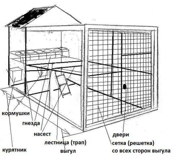 Курятник на 15 кур размеры и чертежи своими руками