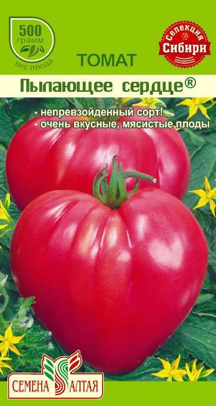 Характеристика томат «любящее сердце» красное: отзывы, описание, фото, урожайность