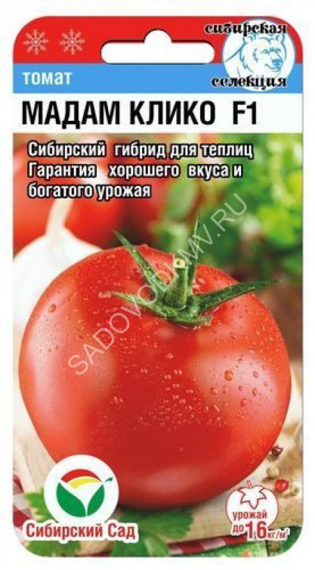 Сорт томата марфушечка душечка отзывы
