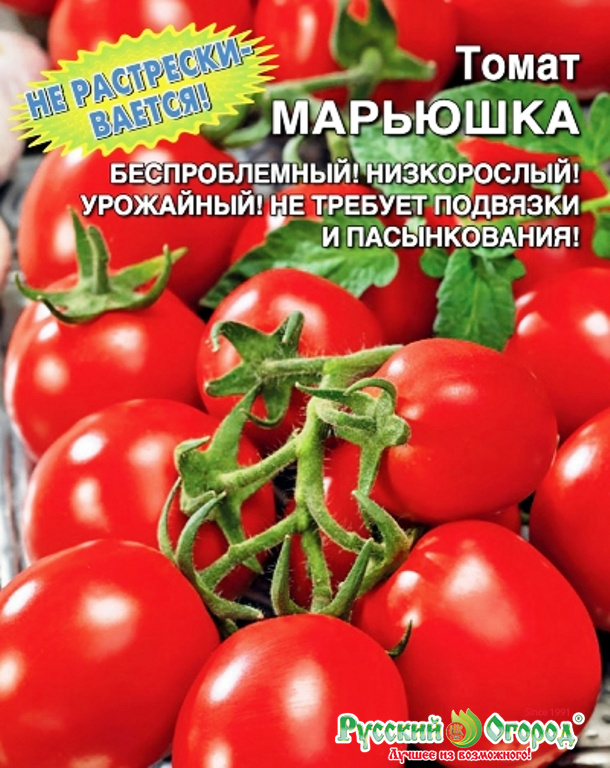 Сортовые характеристики томата «клуша»: описание, фото, урожайность