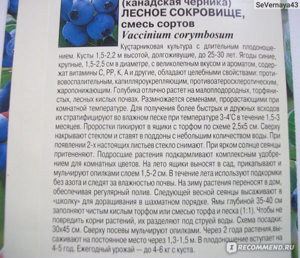 Сорта голубики, в том числе ранние, с описанием, характеристикой, отзывами и фото, особенности для регионов