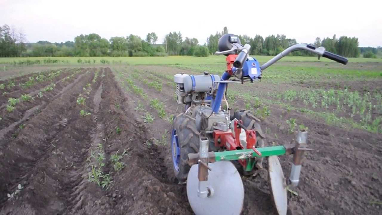 Как выбрать мотоблок для посадки и выращивания картофеля