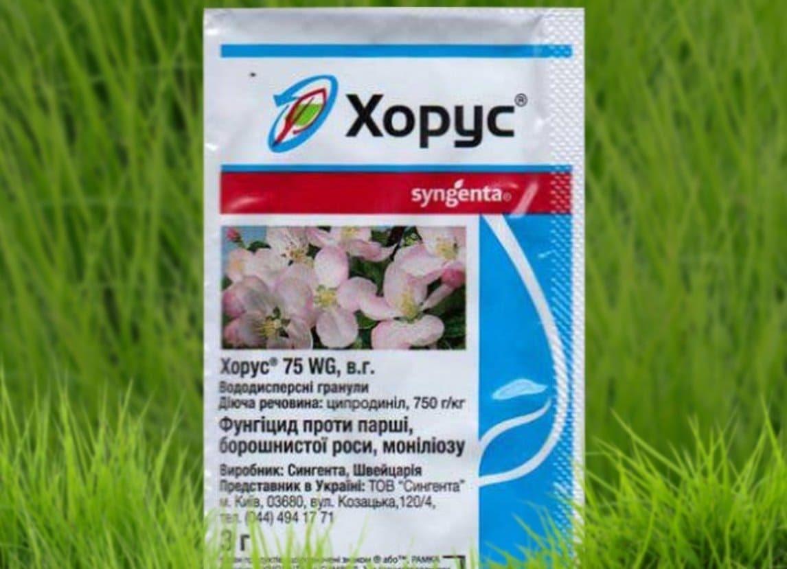 Хорус, вдг (фунгициды, пестициды) — agroxxi