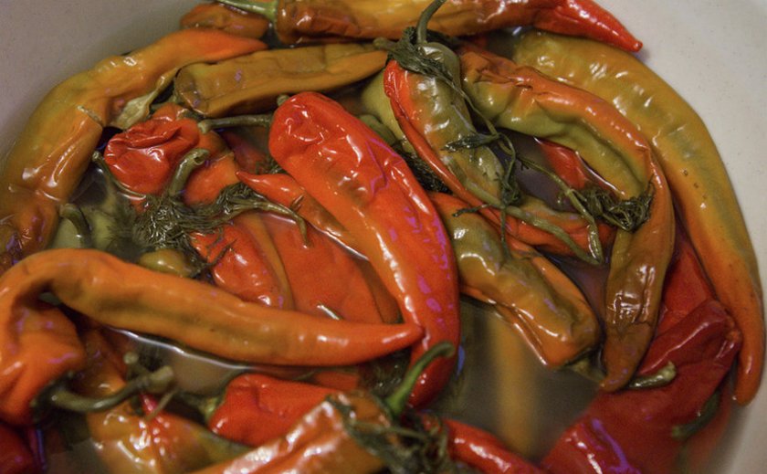 Как солить горький перец - популярные рецепты