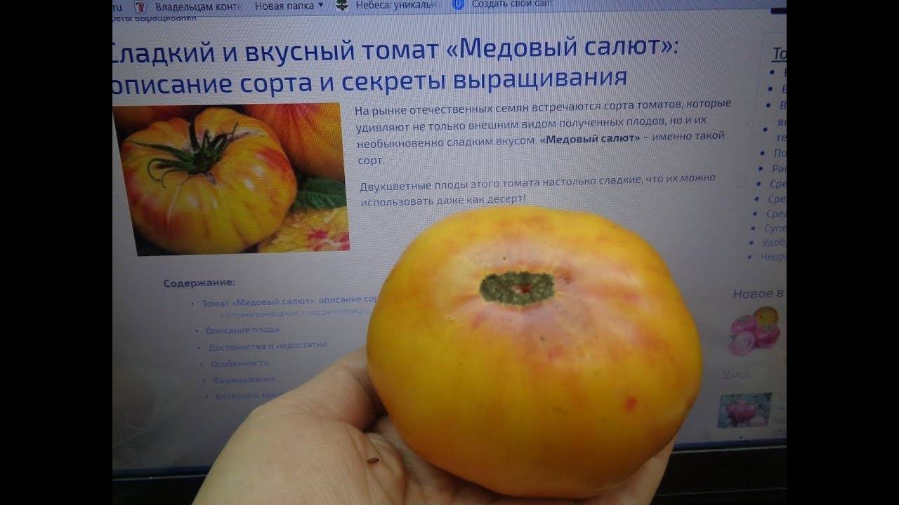 Характеристика и описание сорта томата сладкий пончик, его урожайность