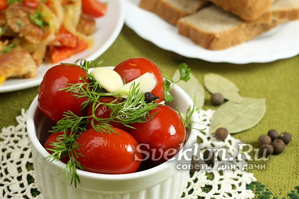 Рецепты малосольных помидор быстрого приготовления в домашних условиях