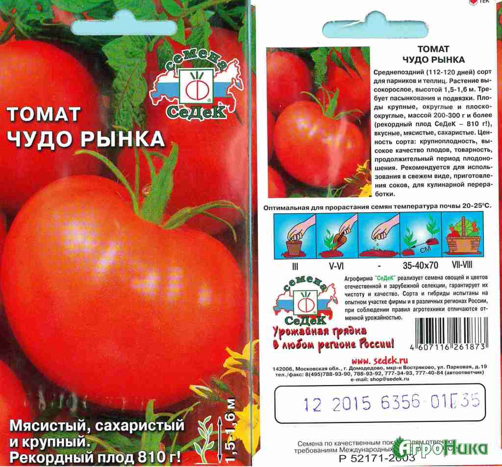 Современная агротехника: особенности технологии выращивания помидоров спрут f1 или как вырастить томаты на дереве?