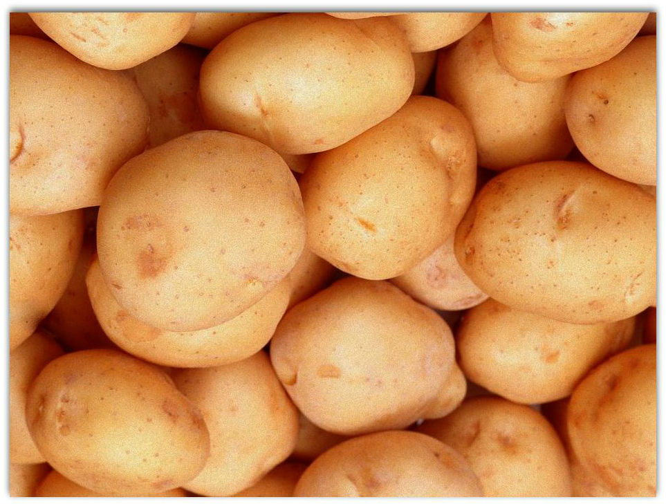 Сорт картофеля адретта: описание, характеристики, отзывы, фото