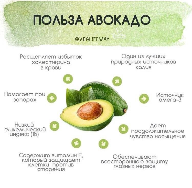 Авокадо: польза и вред для организма человека, женщины, мужчины, калорийность, как его едят