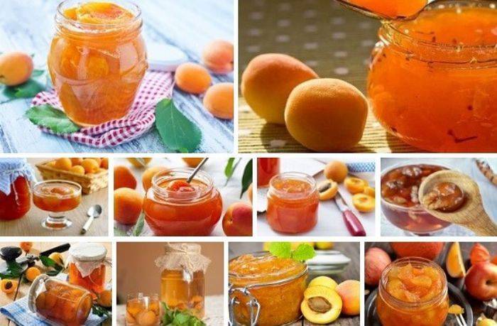 Топ 12 рецептов приготовления абрикосов в сиропе дольками на зиму
