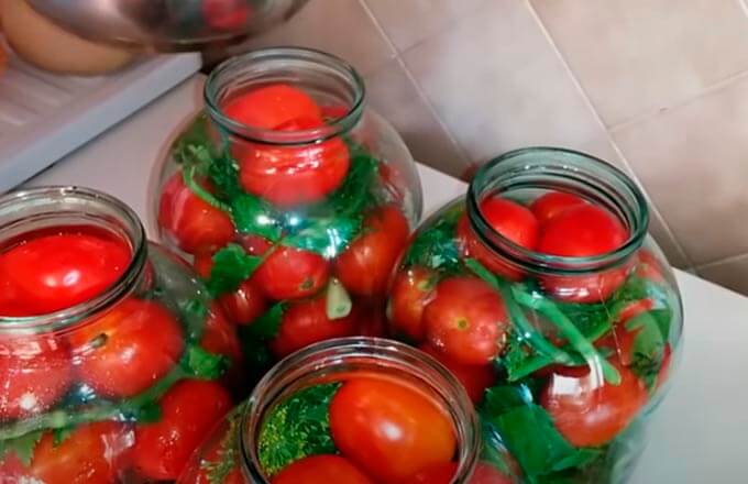Ассорти из огурцов и помидоров на зиму — очень вкусные рецепты маринования