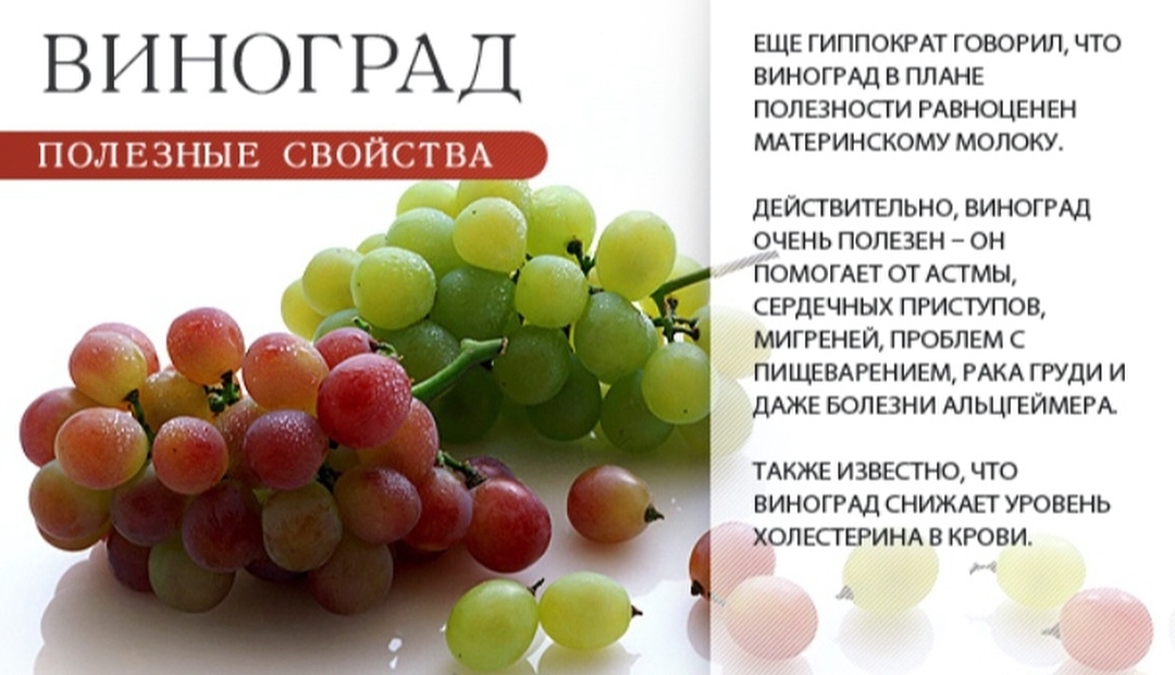 Польза, лечебные свойства и противопоказания к употреблению винограда