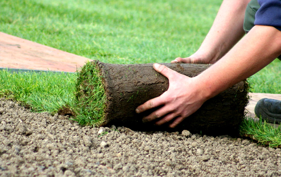 Как правильно уложить искусственный газон? как укладывать траву с шовной лентой на землю? как ее крепить к бетону? какие скобы нужны?