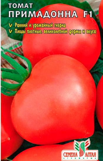 Как посадить томат «примадонна»? отзывы тех, кто сажал