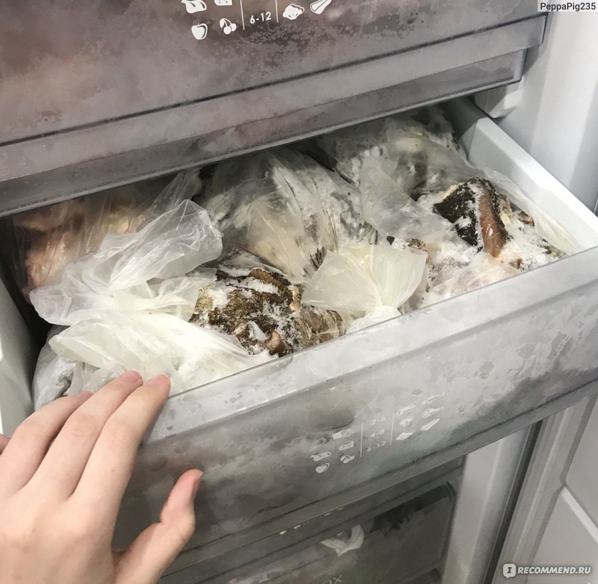 Как правильно заморозить собранные грибы