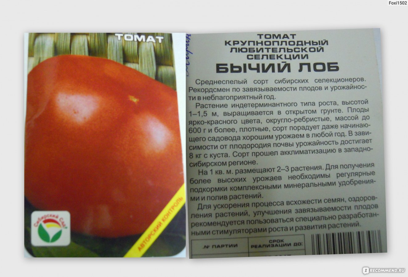 Сорта томатов сибирской селекции (с фото и описанием)