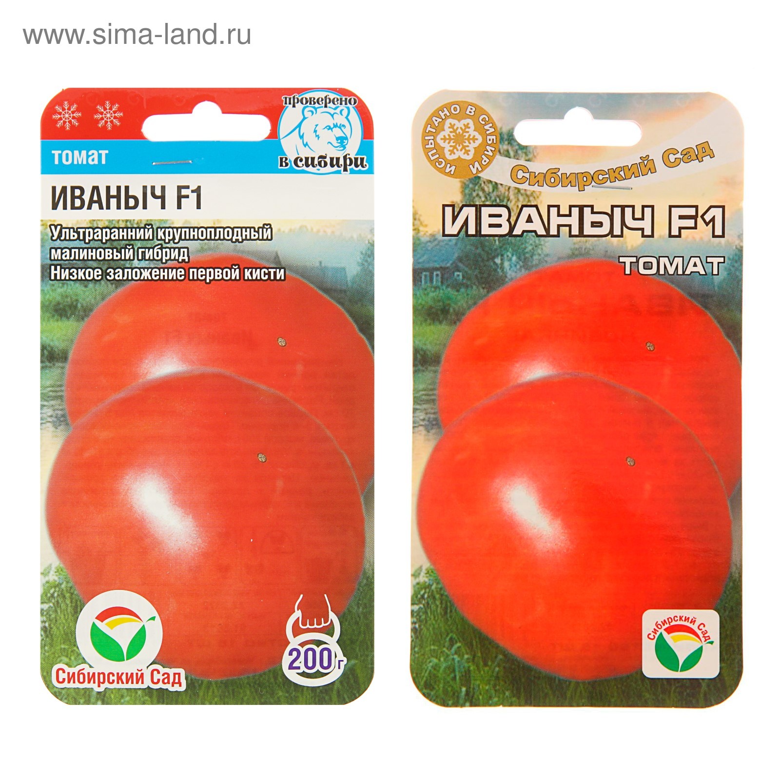 Томат иваныч f1: описание гибрида, фото помидоров и кустов, отзывы начинающих и опытных огородников