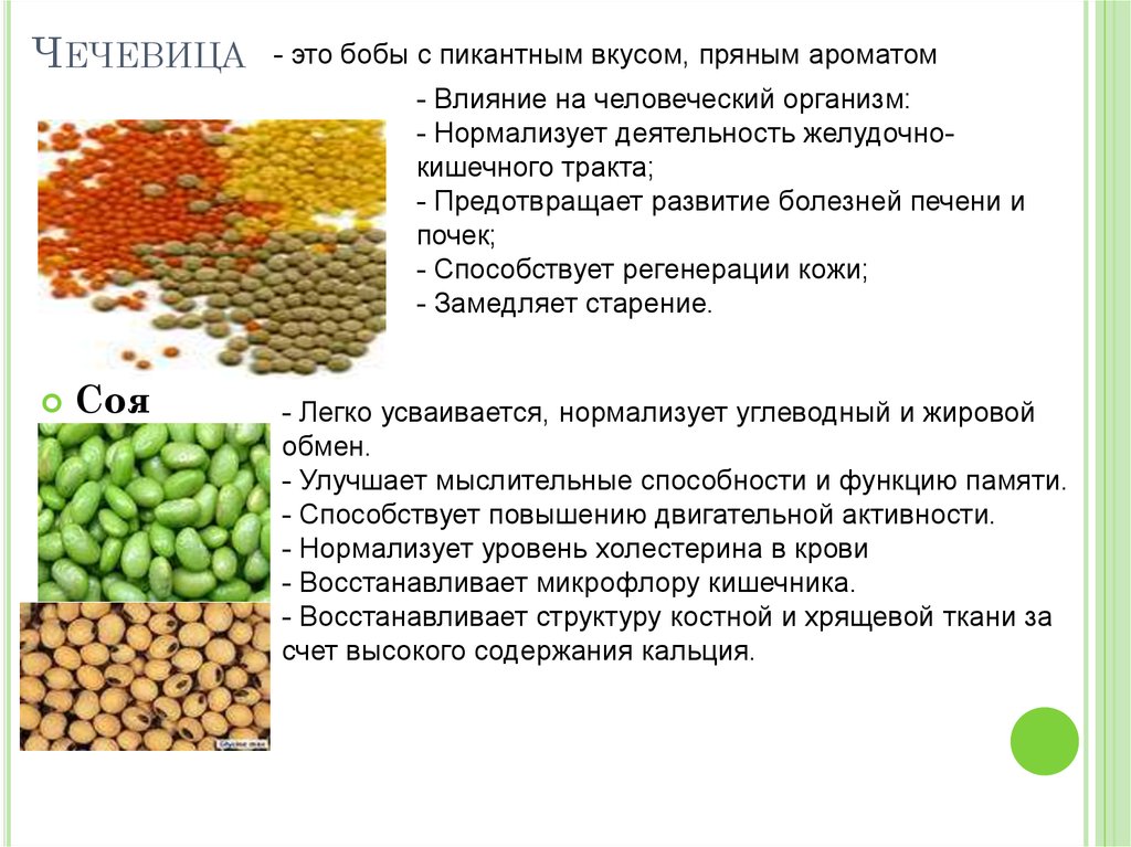 Выбор сорта и выращивание чечевицы