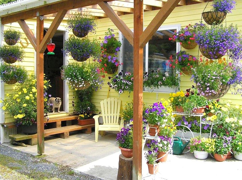 Красивые кашпо для цветов своими руками — идеи, фото, пошаговый мастер-класс - огород, сад, балкон - медиаплатформа миртесен