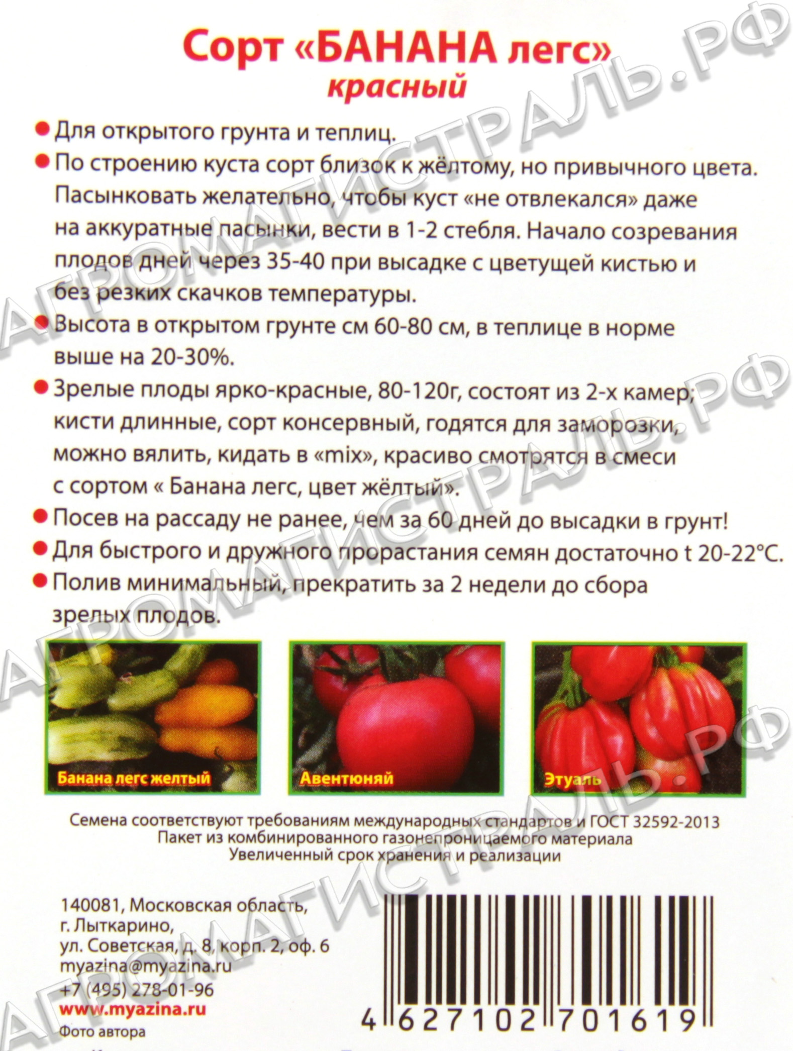 Описание лучших сортов авторских томатов любови мязиной, выращивание