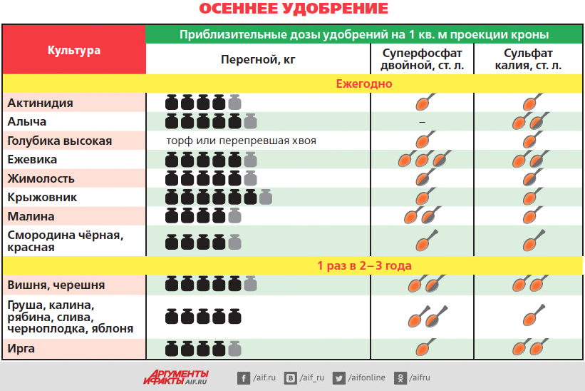 Схема удобрения плодовых деревьев