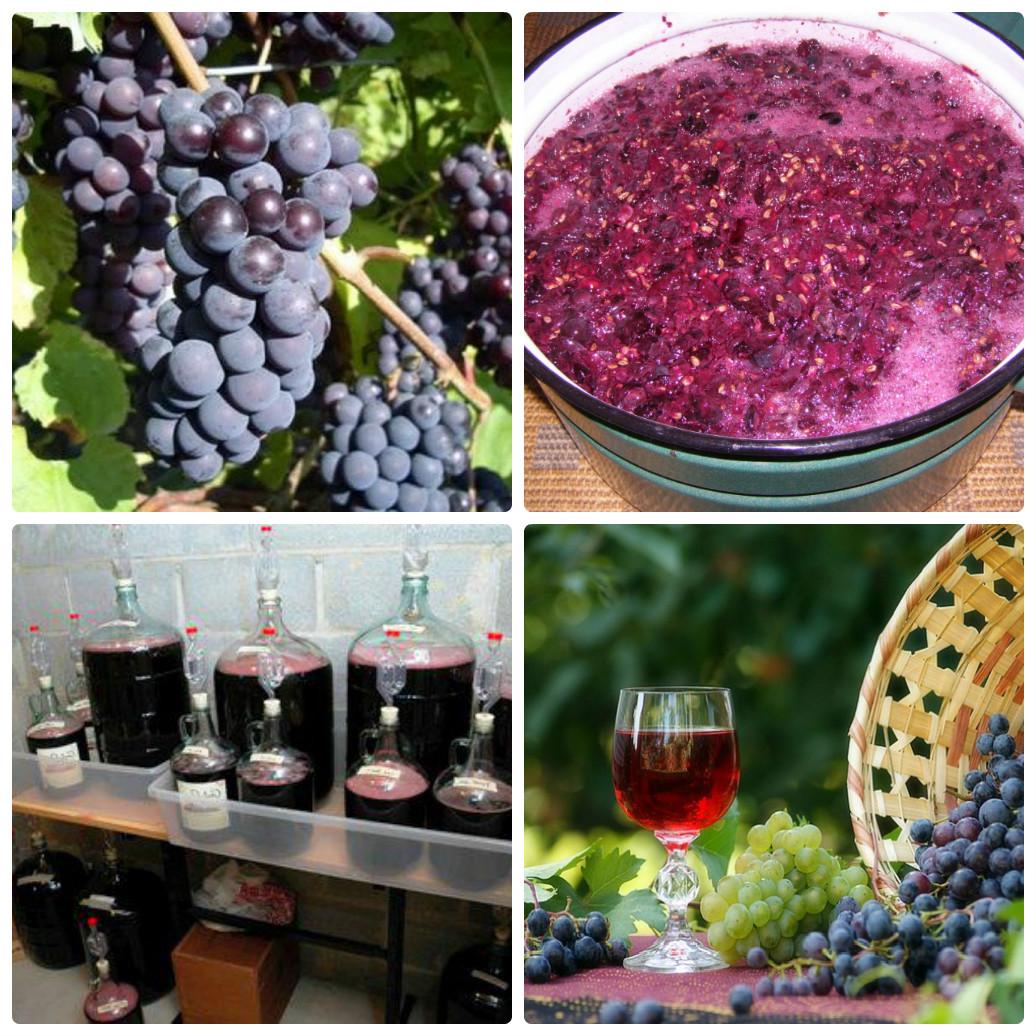 Приготовление и производство красного вина: технология, этапы, схема | я люблю вино
