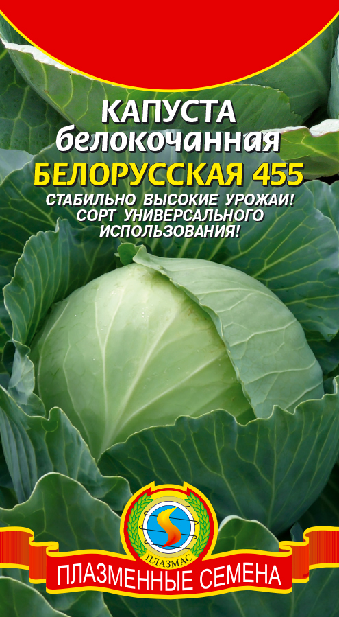 Характеристика капусты белорусская 455, выращивание, сбор и хранение