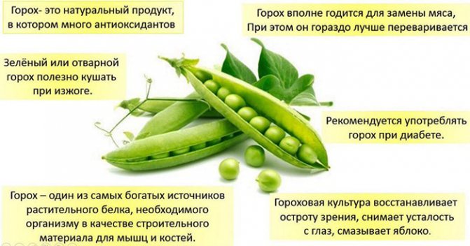Вареный горох калорийность, пищевая ценность, польза, вред, бжу