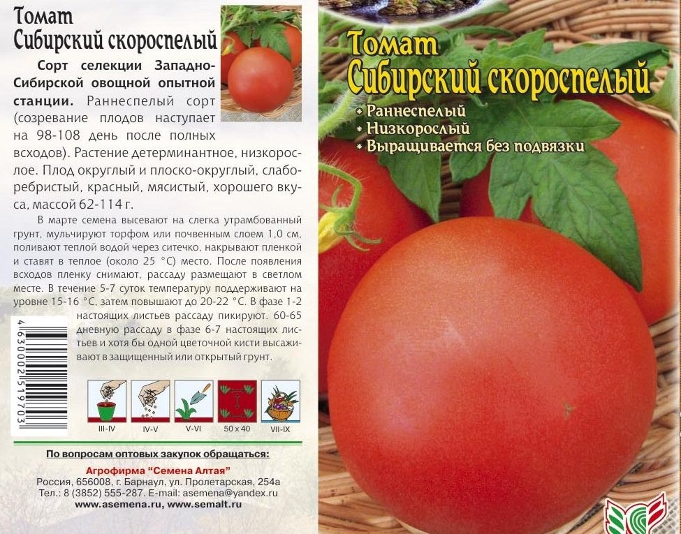 Томат "ультраскороспелый" f1: характеристика и описание раннеспелого парникового вида помидор, выращивание и фото плодов русский фермер