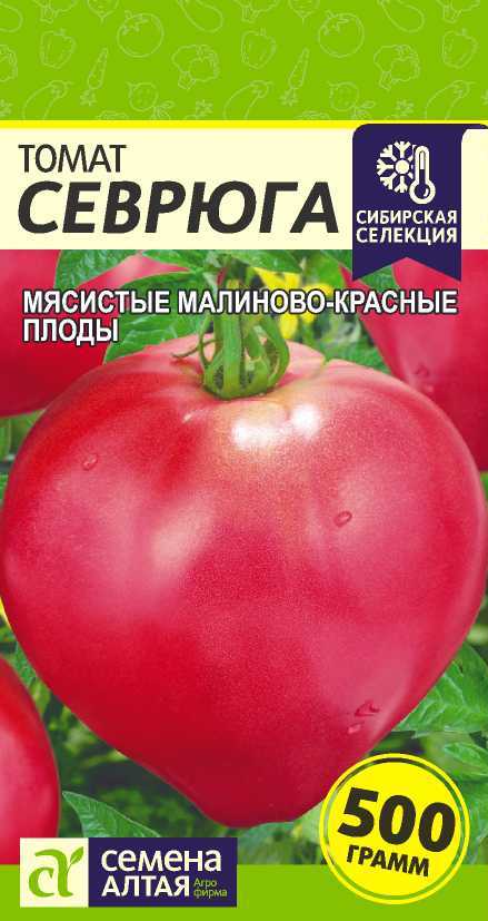 Характеристика и описание сорта томата севрюга или пудовик, его урожайность