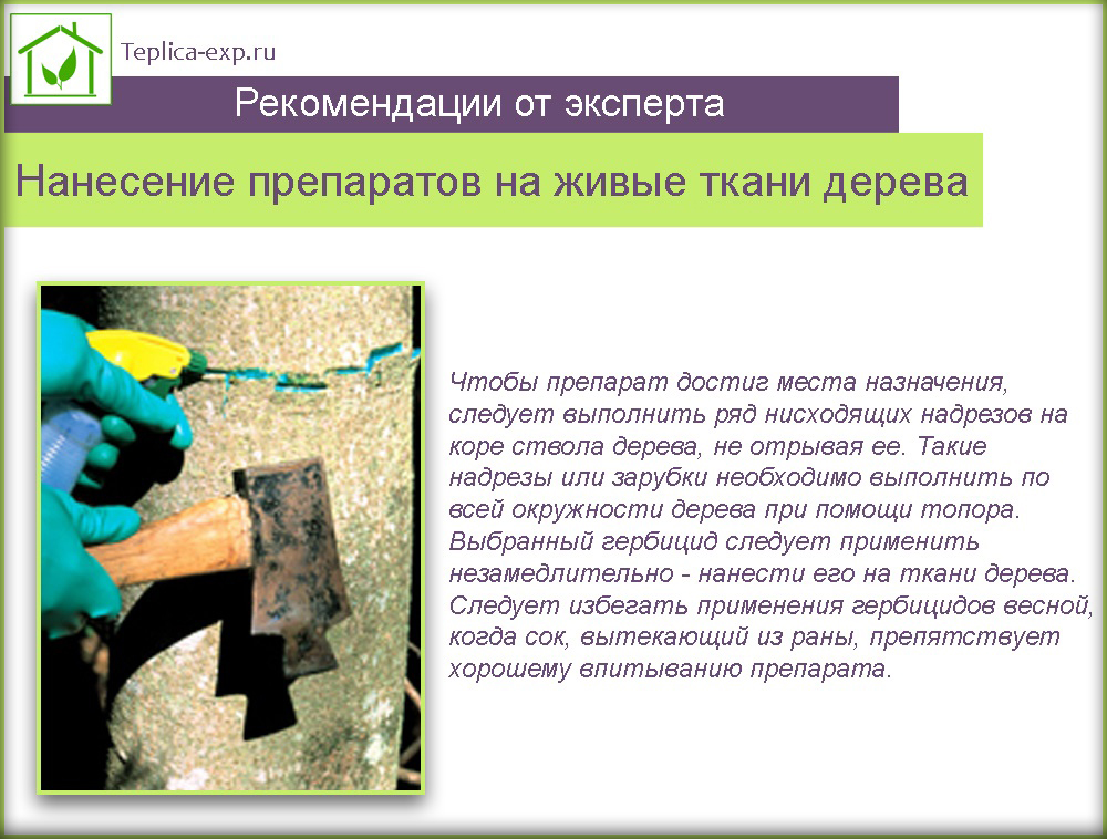Как быстро избавиться от пня без корчевания: действенные способы удаления пеньков, а также корней деревьев и кустарников на участке без их выкорчевывания