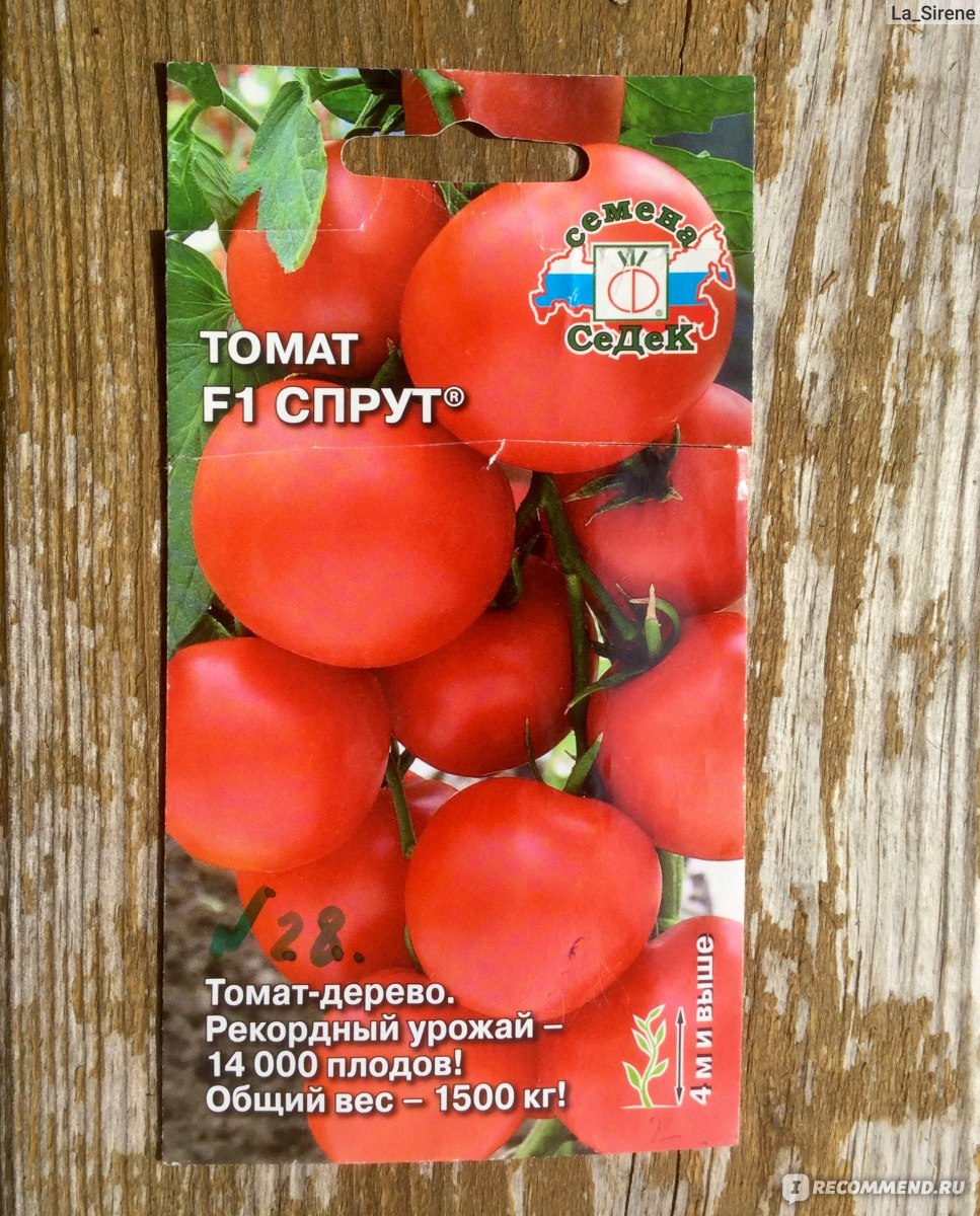 Японские сорта томатов каталог