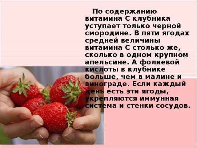 Полезные свойства и противопоказания клубники, о которых нужно знать!