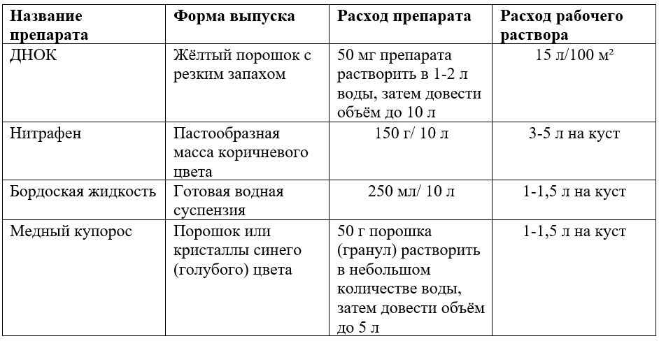 Можно ли опрыскивать смородину хорусом. Антракноз смородины препараты. Антракноз смородины чем лечить весной. Антракноз смородины чем лечить. Антракноз смородины лечение препараты.